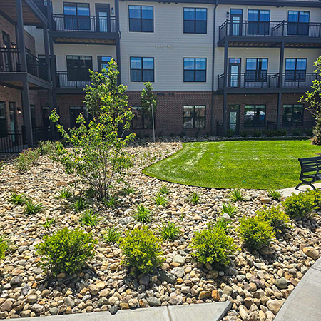 Large rock beds at Holliday Farms Senior Living, featuring freshly planted foliage.